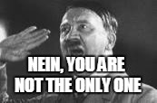 NEIN, YOU ARE NOT THE ONLY ONE | made w/ Imgflip meme maker