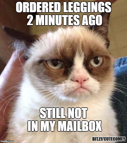me waiting for my leggings | ORDERED LEGGINGS 2 MINUTES AGO; STILL NOT IN MY MAILBOX; BIT.LY/CUTECOMFY | image tagged in memes,grumpy cat reverse,grumpy cat,leggings,abby and anna,abby  anna's boutique | made w/ Imgflip meme maker