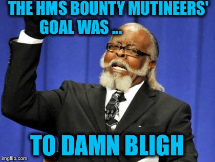 Too Damn High | THE HMS BOUNTY MUTINEERS' GOAL WAS ... TO DAMN BLIGH | image tagged in memes,too damn high | made w/ Imgflip meme maker