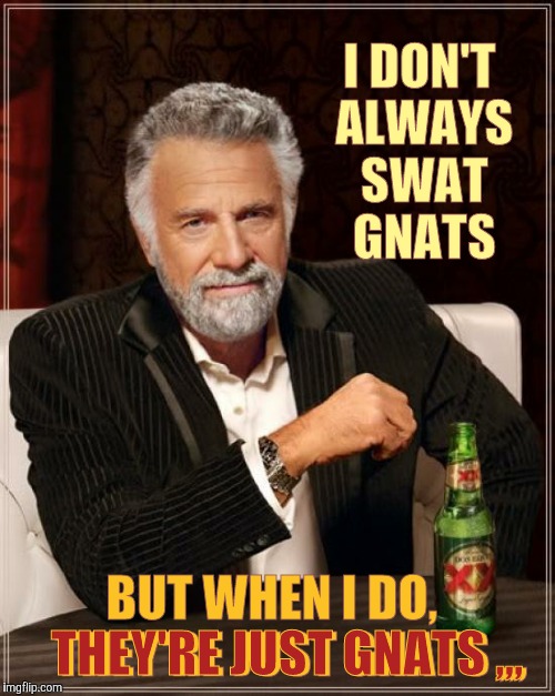 The Most Interesting Man In The World Meme | I DON'T ALWAYS SWAT GNATS; BUT WHEN I DO,         THEY'RE JUST GNATS ,,, THEY'RE JUST GNATS ,,, | image tagged in memes,the most interesting man in the world | made w/ Imgflip meme maker