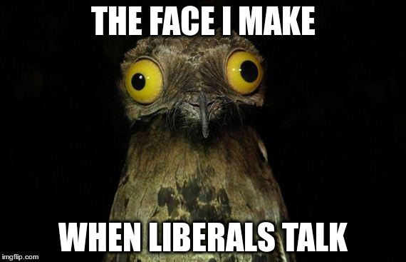 Weird Stuff I Do Potoo | THE FACE I MAKE; WHEN LIBERALS TALK | image tagged in memes,weird stuff i do potoo | made w/ Imgflip meme maker