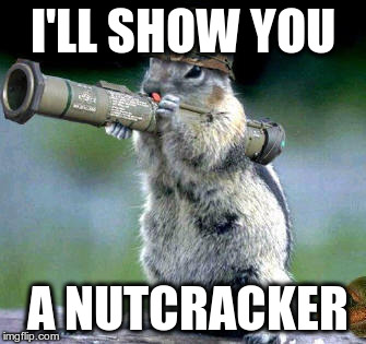 Bazooka Squirrel Meme | I'LL SHOW YOU; A NUTCRACKER | image tagged in memes,bazooka squirrel | made w/ Imgflip meme maker