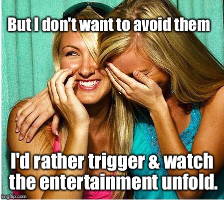 But I don't want to avoid them I'd rather trigger & watch the entertainment unfold. | made w/ Imgflip meme maker