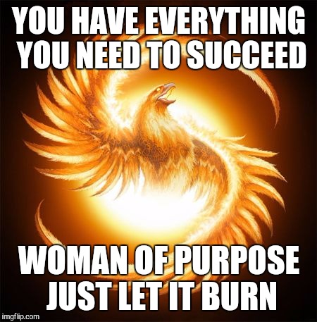 Phoenix Rising | YOU HAVE EVERYTHING YOU NEED TO SUCCEED; WOMAN OF PURPOSE JUST LET IT BURN | image tagged in phoenix rising | made w/ Imgflip meme maker
