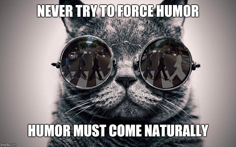 Beatles cat | NEVER TRY TO FORCE HUMOR HUMOR MUST COME NATURALLY | image tagged in beatles cat | made w/ Imgflip meme maker