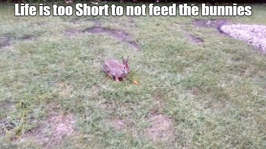 Life... | Life is too Short to not feed the bunnies | image tagged in jeffery dallas | made w/ Imgflip meme maker