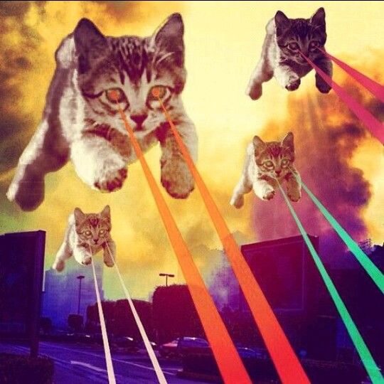 Laser Cats Blank Meme Template