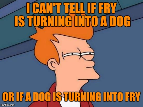 Futurama Fry Meme | I CAN'T TELL IF FRY IS TURNING INTO A DOG OR IF A DOG IS TURNING INTO FRY | image tagged in memes,futurama fry | made w/ Imgflip meme maker