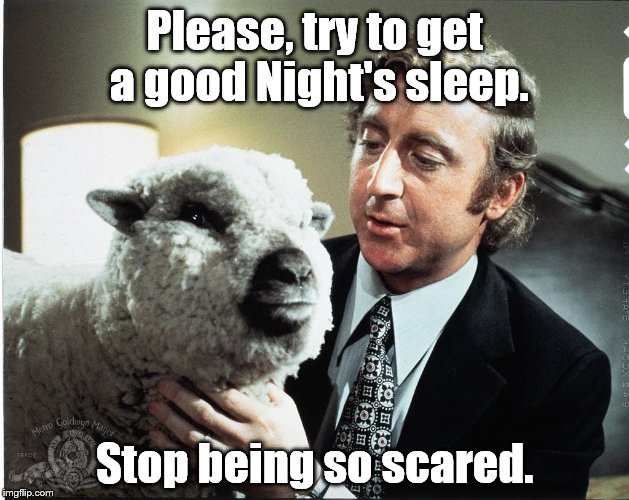 Baaa | Please, try to get a good Night's sleep. Stop being so scared. | image tagged in baaa | made w/ Imgflip meme maker