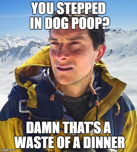 Bear Grylls |  YOU STEPPED IN DOG POOP? DAMN THAT'S A WASTE OF A DINNER | image tagged in memes,bear grylls,dinner | made w/ Imgflip meme maker