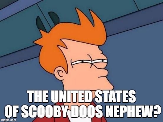 Futurama Fry Meme | THE UNITED STATES OF SCOOBY DOOS NEPHEW? | image tagged in memes,futurama fry | made w/ Imgflip meme maker