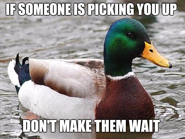 Advice mallard  | IF SOMEONE IS PICKING YOU UP; DON'T MAKE THEM WAIT | image tagged in advice mallard | made w/ Imgflip meme maker