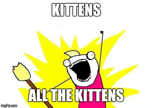 X All The Y Meme | KITTENS; ALL THE KITTENS | image tagged in memes,x all the y | made w/ Imgflip meme maker