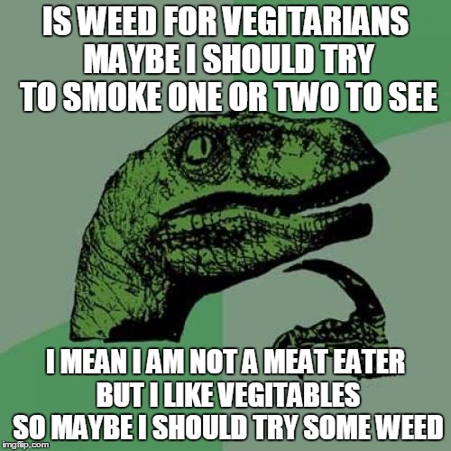 Philosoraptor | IS WEED FOR VEGITARIANS MAYBE I SHOULD TRY TO SMOKE ONE OR TWO TO SEE; I MEAN I AM NOT A MEAT EATER BUT I LIKE VEGITABLES SO MAYBE I SHOULD TRY SOME WEED | image tagged in memes,philosoraptor | made w/ Imgflip meme maker