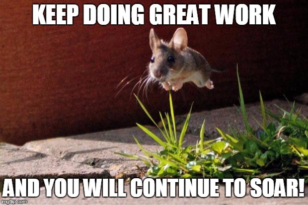 Mouse | KEEP DOING GREAT WORK; AND YOU WILL CONTINUE TO SOAR! | image tagged in mouse | made w/ Imgflip meme maker