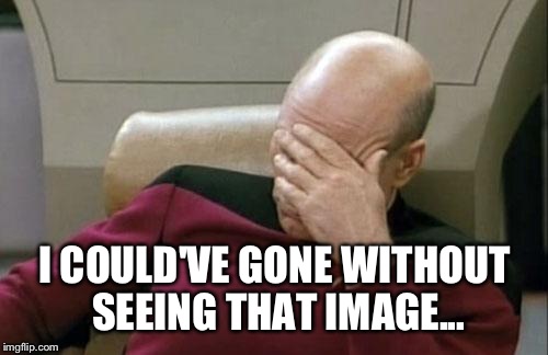 Captain Picard Facepalm Meme | I COULD'VE GONE WITHOUT SEEING THAT IMAGE... | image tagged in memes,captain picard facepalm | made w/ Imgflip meme maker