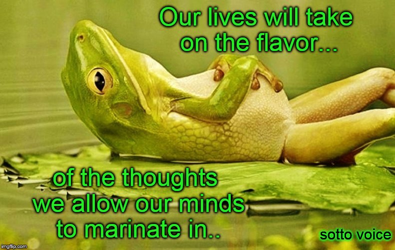 Our lives will take on the flavor... of the thoughts we allow our minds to marinate in.. sotto voice | image tagged in frog | made w/ Imgflip meme maker