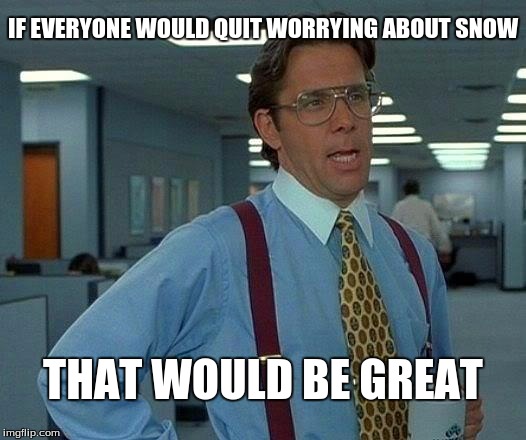 Empty the grocery stores! | IF EVERYONE WOULD QUIT WORRYING ABOUT SNOW; THAT WOULD BE GREAT | image tagged in memes,that would be great,snow | made w/ Imgflip meme maker