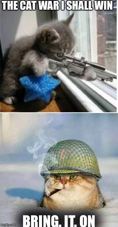 ON image tagged in cat with gun made w/ Imgflip meme maker. 