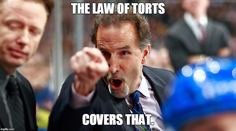 THE LAW OF TORTS; COVERS THAT. | made w/ Imgflip meme maker