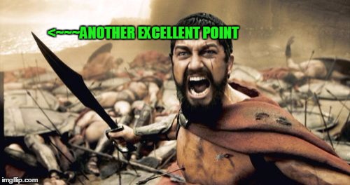 Sparta Leonidas Meme | <~~~ANOTHER EXCELLENT POINT | image tagged in memes,sparta leonidas | made w/ Imgflip meme maker