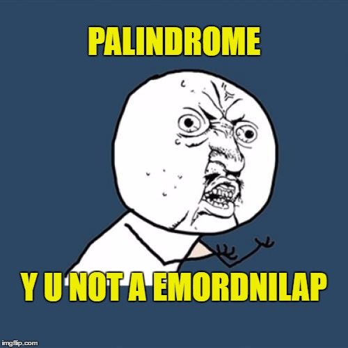 palindrome's suck | PALINDROME; Y U NOT A EMORDNILAP | image tagged in memes,y u no,palindrome | made w/ Imgflip meme maker