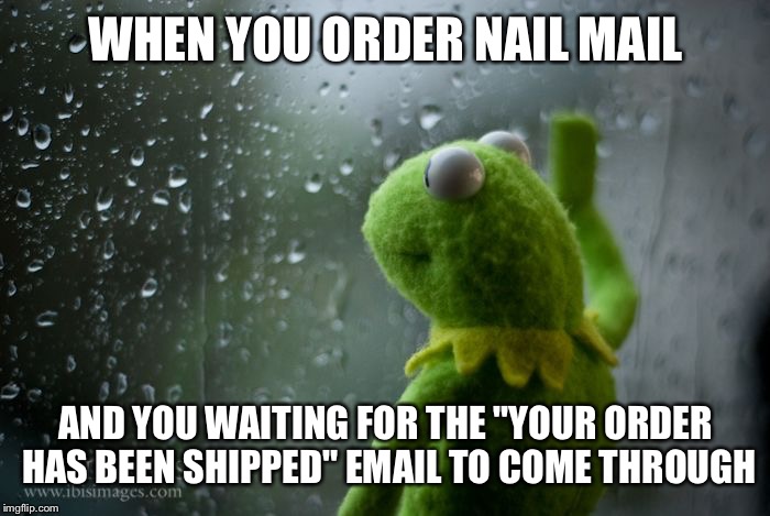 kermit window | WHEN YOU ORDER NAIL MAIL; AND YOU WAITING FOR THE "YOUR ORDER HAS BEEN SHIPPED" EMAIL TO COME THROUGH | image tagged in kermit window | made w/ Imgflip meme maker
