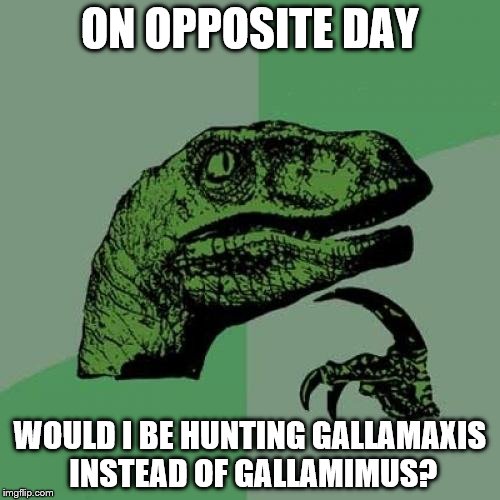 Timmy would know | ON OPPOSITE DAY; WOULD I BE HUNTING GALLAMAXIS INSTEAD OF GALLAMIMUS? | image tagged in memes,philosoraptor | made w/ Imgflip meme maker