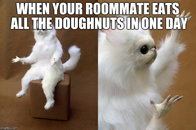 Persian Cat Room Guardian | WHEN YOUR ROOMMATE EATS ALL THE DOUGHNUTS IN ONE DAY | image tagged in memes,persian cat room guardian | made w/ Imgflip meme maker