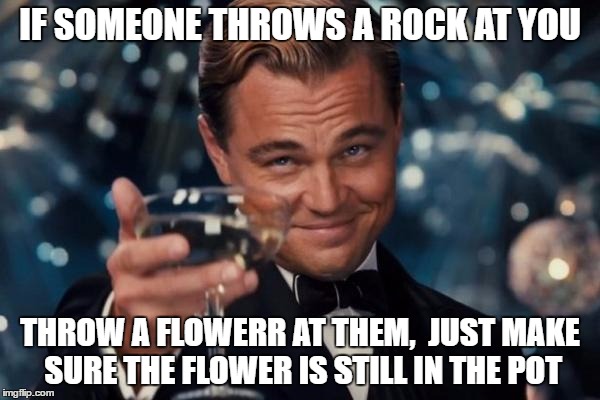 Leonardo Dicaprio Cheers Meme | IF SOMEONE THROWS A ROCK AT YOU; THROW A FLOWERR AT THEM,  JUST MAKE SURE THE FLOWER IS STILL IN THE POT | image tagged in memes,leonardo dicaprio cheers | made w/ Imgflip meme maker