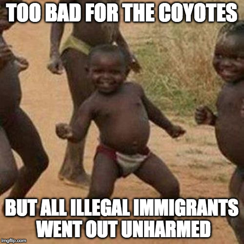 TOO BAD FOR THE COYOTES BUT ALL ILLEGAL IMMIGRANTS WENT OUT UNHARMED | image tagged in memes,third world success kid | made w/ Imgflip meme maker