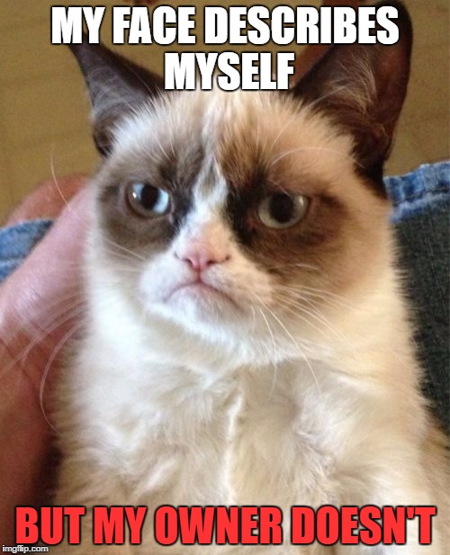 Grumpy Cat | MY FACE DESCRIBES MYSELF; BUT MY OWNER DOESN'T | image tagged in memes,grumpy cat | made w/ Imgflip meme maker