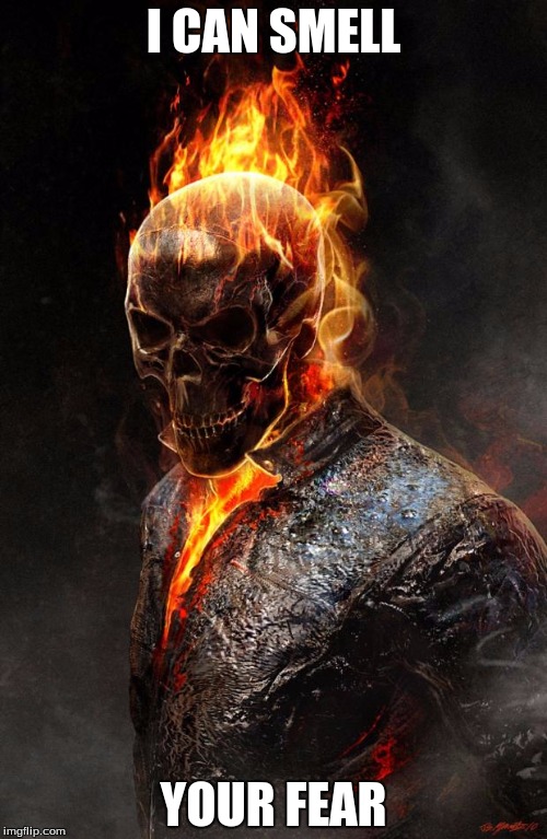 Ghost Rider | I CAN SMELL; YOUR FEAR | image tagged in ghost rider | made w/ Imgflip meme maker