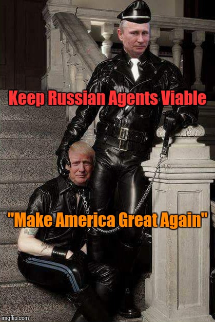KRAV #MAGA | Keep Russian Agents Viable; "Make America Great Again" | image tagged in memes,don loves vlad | made w/ Imgflip meme maker