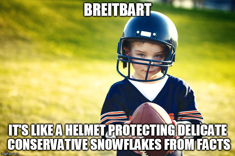 breitbart |  BREITBART; IT'S LIKE A HELMET PROTECTING DELICATE CONSERVATIVE SNOWFLAKES FROM FACTS | image tagged in breitbart,snowflake,helmet | made w/ Imgflip meme maker
