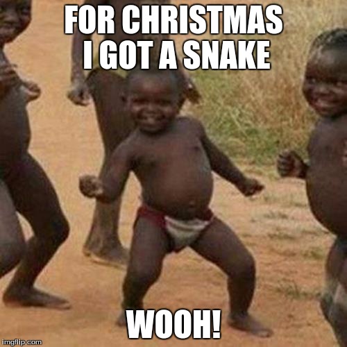 Third World Success Kid | FOR CHRISTMAS I GOT A SNAKE; WOOH! | image tagged in memes,third world success kid | made w/ Imgflip meme maker