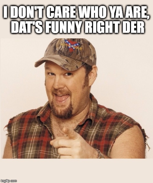 Larry the Cable Guy | I DON'T CARE WHO YA ARE, DAT'S FUNNY RIGHT DER | image tagged in larry the cable guy | made w/ Imgflip meme maker
