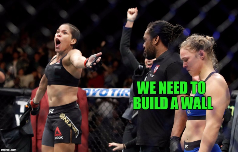 WE NEED TO BUILD A WALL | made w/ Imgflip meme maker