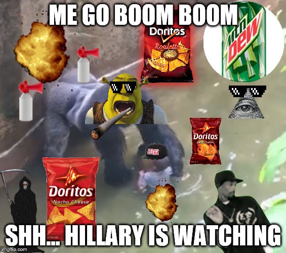 Hillary watches you boom boom | ME GO BOOM BOOM; SHH... HILLARY IS WATCHING | image tagged in harambe,dank | made w/ Imgflip meme maker