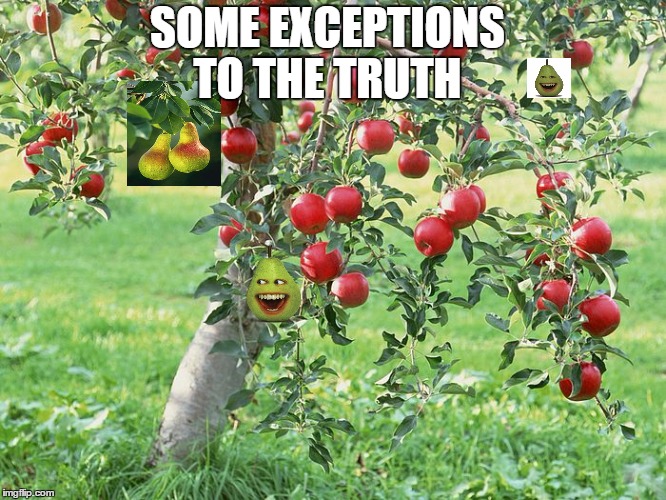 All things are possible ...when you believe | SOME EXCEPTIONS TO THE TRUTH | image tagged in hope,cute,funny memes,fruit | made w/ Imgflip meme maker