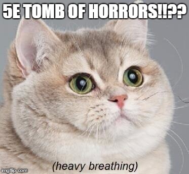 Heavy Breathing Cat Meme | 5E TOMB OF HORRORS!!?? | image tagged in memes,heavy breathing cat | made w/ Imgflip meme maker