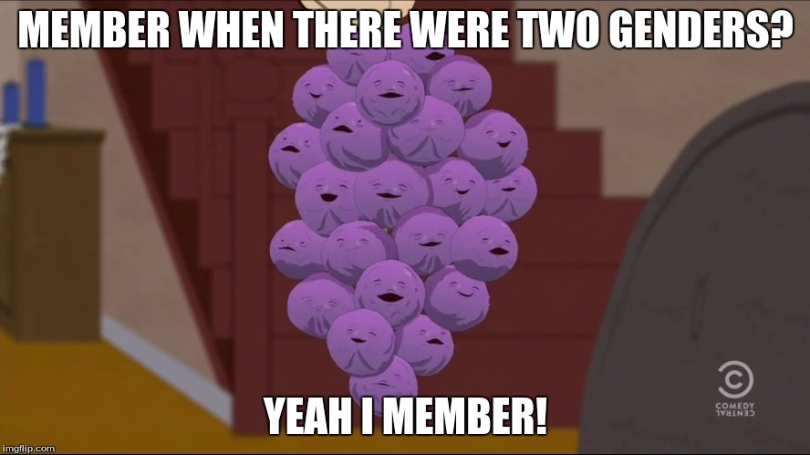 Member Berries | MEMBER WHEN THERE WERE TWO GENDERS? YEAH I MEMBER! | image tagged in memes,member berries | made w/ Imgflip meme maker