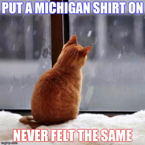 Michigan cat meme | PUT A MICHIGAN SHIRT ON; NEVER FELT THE SAME | image tagged in michigan sucks | made w/ Imgflip meme maker