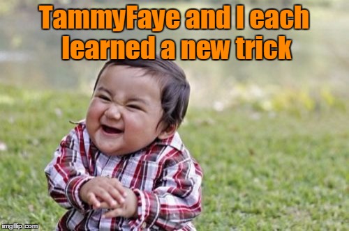 Evil Toddler Meme | TammyFaye and I each learned a new trick | image tagged in memes,evil toddler | made w/ Imgflip meme maker