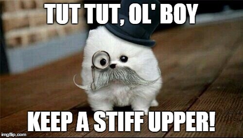 Sophisticated Dog | TUT TUT, OL' BOY KEEP A STIFF UPPER! | image tagged in sophisticated dog | made w/ Imgflip meme maker