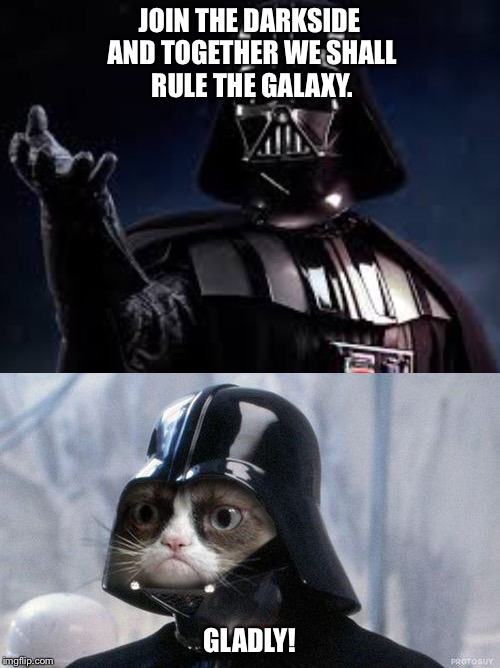 JOIN THE DARKSIDE AND TOGETHER WE SHALL RULE THE GALAXY. GLADLY! | made w/ Imgflip meme maker