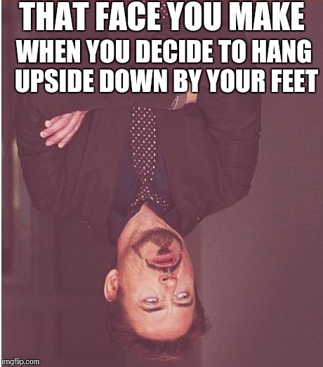 Face You Make Robert Downey Jr | THAT FACE YOU MAKE; WHEN YOU DECIDE TO HANG UPSIDE DOWN BY YOUR FEET | image tagged in memes,face you make robert downey jr,upside-down,inversion,funny memes | made w/ Imgflip meme maker