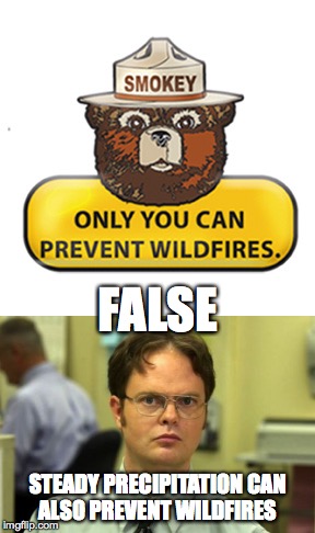 smokey's wrong bitch | FALSE; STEADY PRECIPITATION CAN ALSO PREVENT WILDFIRES | image tagged in smokey the bear,false,fire,know it all,bear tits | made w/ Imgflip meme maker