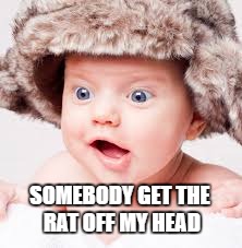 Please! Please... | SOMEBODY GET THE RAT OFF MY HEAD | image tagged in baby,funny memes,rats,memes | made w/ Imgflip meme maker