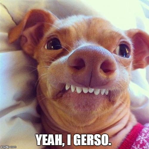 lisp dog | YEAH, I GERSO. | image tagged in lisp dog | made w/ Imgflip meme maker